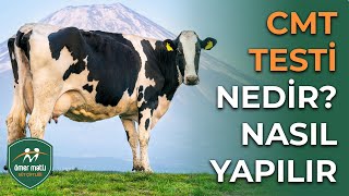 Cmt Testi Nedir, Ne Zaman Ve Nasıl Yapılır?