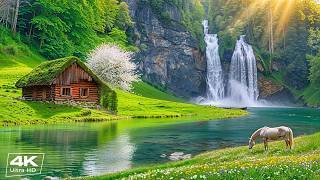 Healing Relaxing Music 🌿 Soft Piano Music & Nature Sounds to Inner Peace and Stop Overthinking screenshot 3