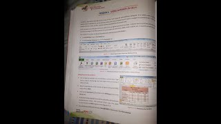 Asian International School-Class-X-IT Vocation-session1| Autosum | conditional formatting screenshot 4
