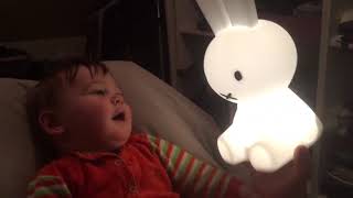 Mr. Maria Miffy first light