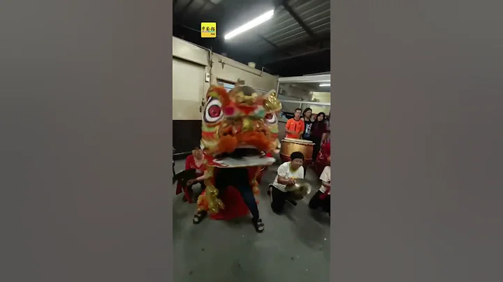 管制令下訓練成團 大媽舞獅 不是蓋的 - 天天要聞