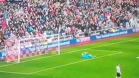 Borini goal Sunderland 2-1 Newcastle