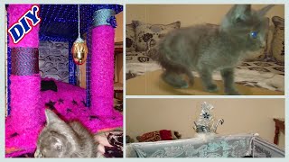 #DIY Transform a Simple Box into a Cat House كيف تصنع بيت للقطط بالكرتون