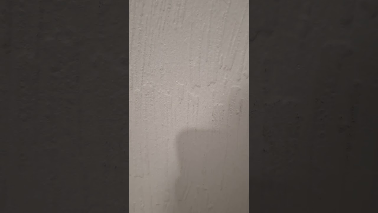 اول الخطوات كيف نوصل لفرنسا🇨🇵😻