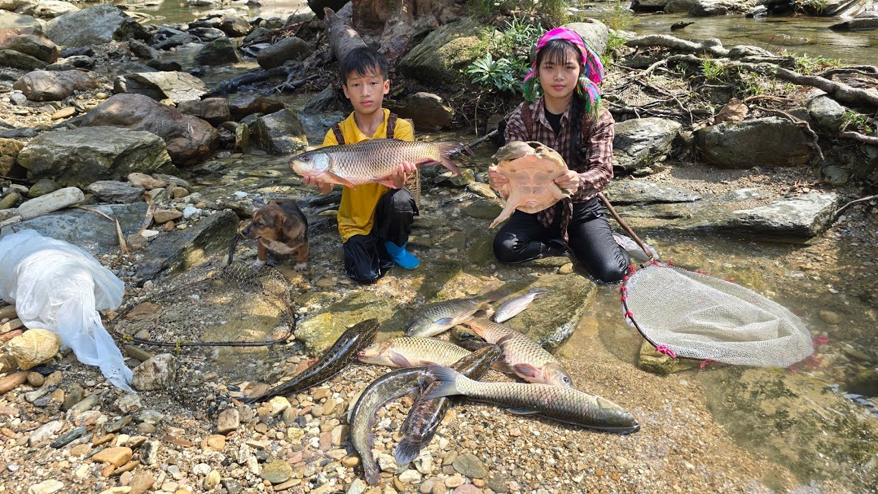 stacking rocks to block water, catching fish to bring back to the village to sell highland boy life