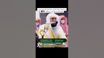 #اكسبلور #القزابري #المصحف #تيك_توك #لايك #الرحمن   سورة فاطر