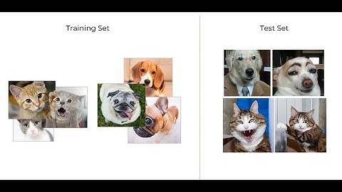 Unsupervised Learning Algorithms | Data Science