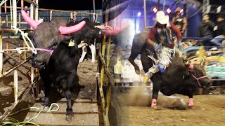 ¡Y SÍ A VECES LOS TOROS NO TIENEN PALABRA! Torazo EL COLMENO pero esta vez TODO FUE DIFERENTE