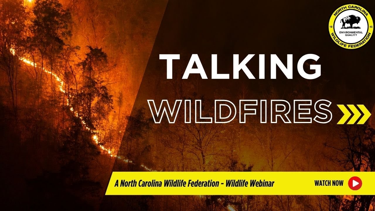 Talking Wildfires: The Science Behind Wildfires and Those Who Fight Them (NC Wildlife Federation)
