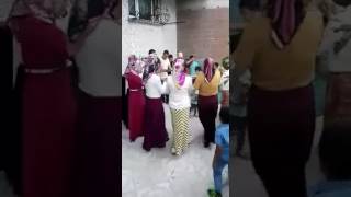 Kınamız