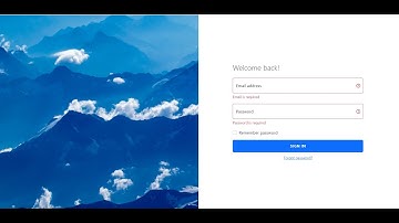 Angular 13 Application Login Page with Validation