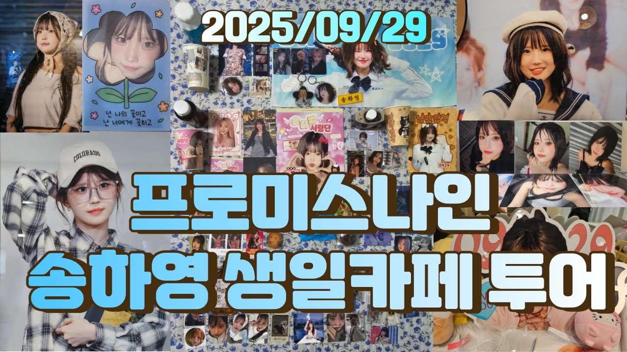 지후로그 EP58. 프로미스나인 송하영 생일카페 6곳 투어