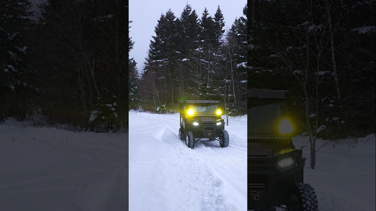 These lights are so bright @AUXITOLED #utv #atv #offroad #led #lights #yellow #snow #visibility