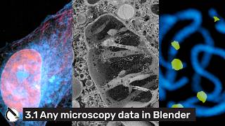 Load Any Microscopy Data into Blender | Microscopy Nodes 3.1