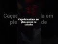 caçada gamer inusitada