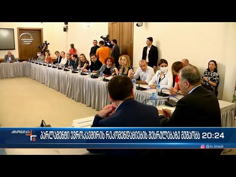 პარლამენტი ევროკომისიის 12-პუნქტიანი რეკლომენდაციის შესრულებაზე მუშაობს