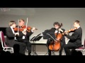 Capture de la vidéo Embrace And Entwine, Classical Concert From Davos Festival