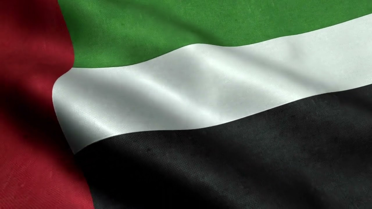 [10 Hours] United Arab Emirates Flag Waving - Video & Audio - Waving Flags