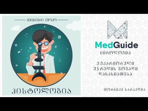 Medguide/მედგიდი - ჰისტოლოგია | ციტოლოგია: ეუკარიოტული უჯრედის ზოგადი დახასიათება