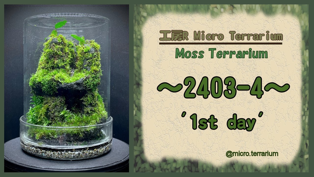 Moss Terrarium ～2403-4～ Long Ver. コケリウム #terrarium #苔