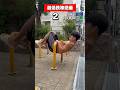 これでもかってくらい低い鉄棒で懸垂MAXチャレンジやってみた！ #shorts #懸垂 #筋トレ