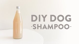 DIY Dog Shampoo | Moisturizing | AntiItch, antiflea | No more dandruff!