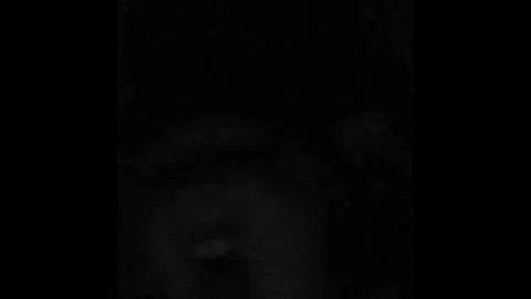I'm in the Dark and I Know It