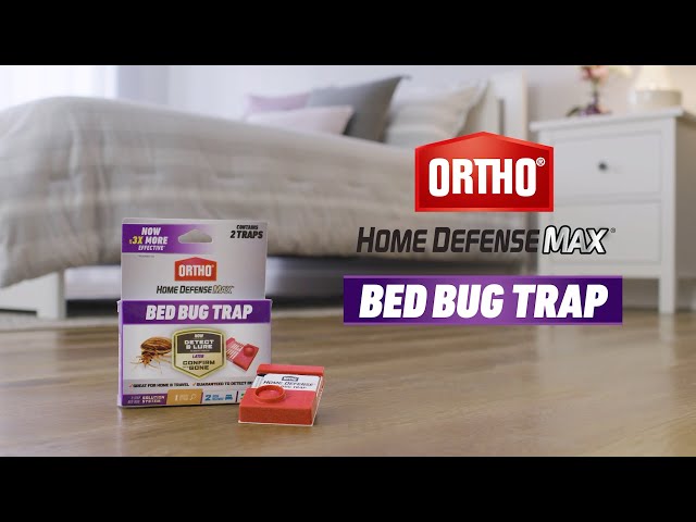 Home Defense Max Bed Bug Trap (2-Pack)