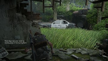 The Last of Us Part II | Hillcrest - Part 1 (Stealth/No Kills) [Survivor]