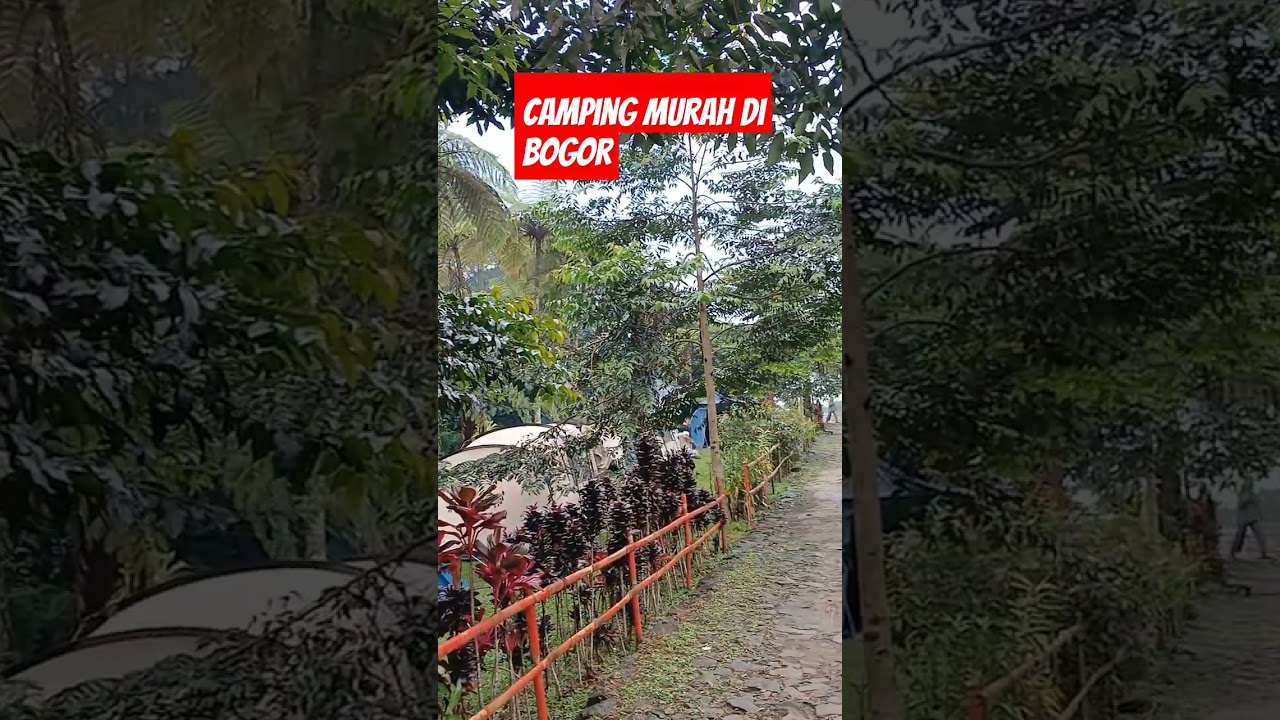 camping murah di bogor