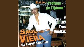 Video voorbeeld van "Saul Viera - Camino Equivocado"