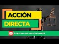 Acción Directa