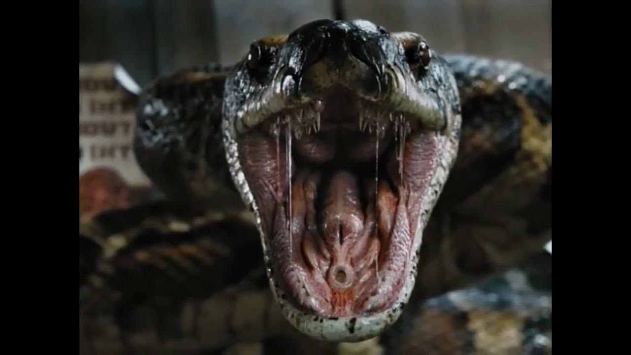 ANACONDA Movie Best Scene (2024) Colossal Snake Movie 4K - YouTube