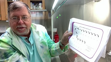 Lab 7 (Part 1 of 6) Calibration Graph and Serial Dilution
