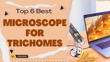 Best Microscope for Trichomes in 2026 [Top 6 Reviews]
