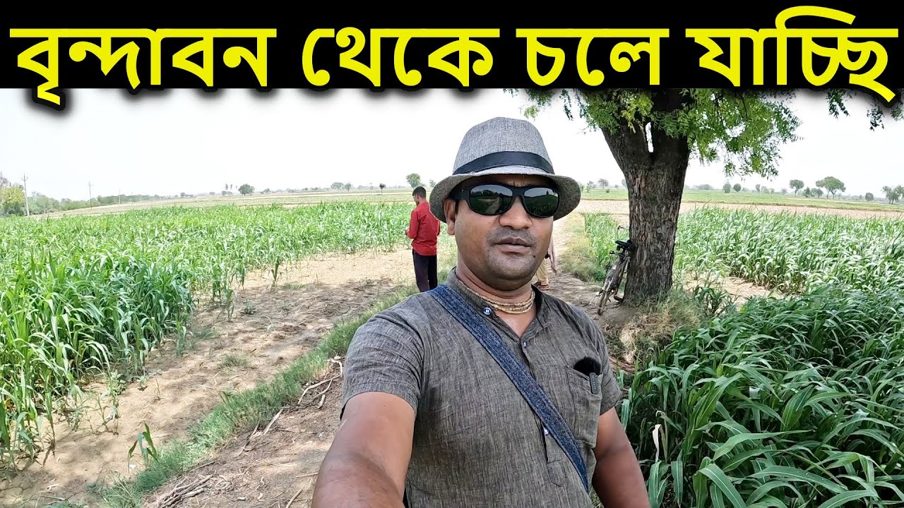 বৃন্দাবন দর্শন,   [ বৃন্দাবন থেকে চলে যাচ্ছি।   বৃন্দাবন ধাম,  vrindavan
