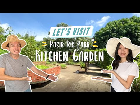 Pasir Ris Park Kitchen Garden Singapore - EP5
