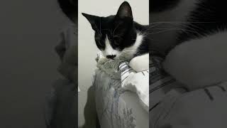 Bize Gece Bile Uyku Haram Yatmıyorlar 🥴🥴