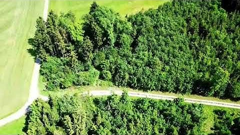 المصحف المرتل بالمقامات / سورة الحجرات / للقارئ أحمد المضوني