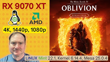 Oblivion Remastered on LINUX MINT with 9070 XT. So far so good...