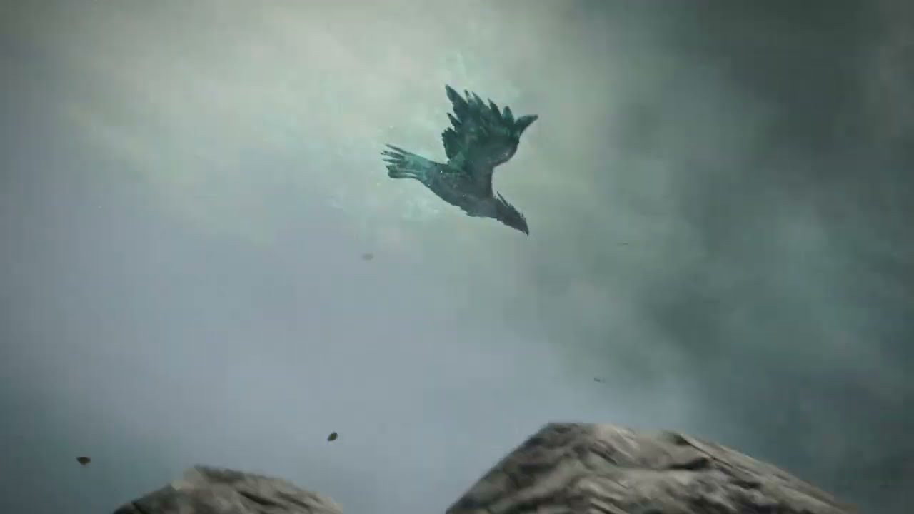 When a movable object meets an immovable object