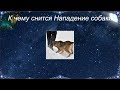 К чему снится Нападение собаки (Сонник)