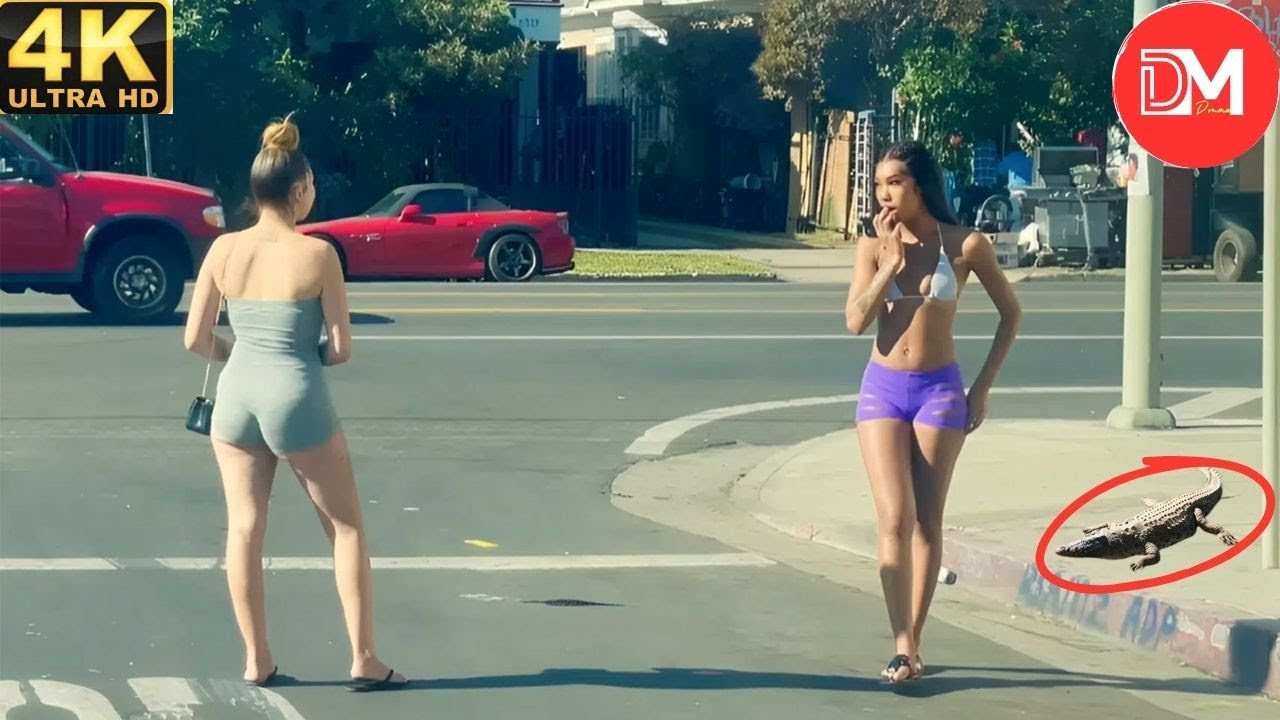 TOTAL IDIOTS AT WORK | Instant Regret Fails Compilation 2025 