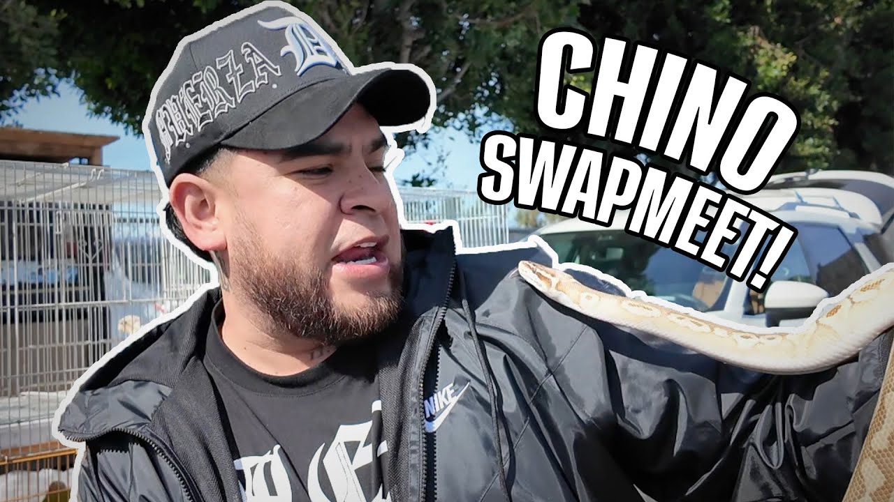 FIRST TIME AT CHINO SWAP-MEET IN 10 YEARS!