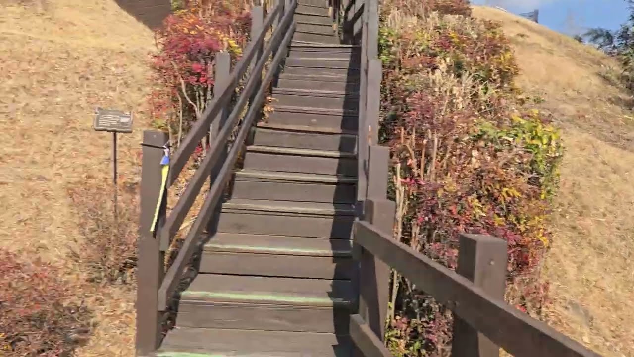 서피랑 - 《토지》의 작가 태어나고 유년 시절을 보낸 생가가 있는 곳