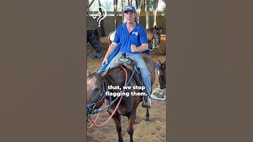 Intro To The Thunder Dome! Part 6!  | The Horse Guru - Michael Gascon