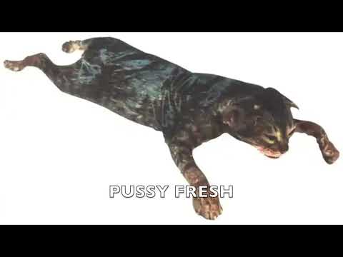 Pussy Tight Pussy Clean Pussy Fresh 