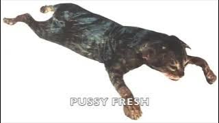 Pussy tight, Pussy clean, Pussy fresh