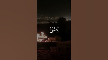{وَقَالَ إِنِّي ذَاهِبٌ إِلَىٰ رَبِّي سَيَهْدِينِ}القارئ انس الهبوبي سورة الصافات