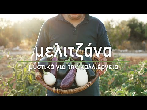 Βίντεο: 